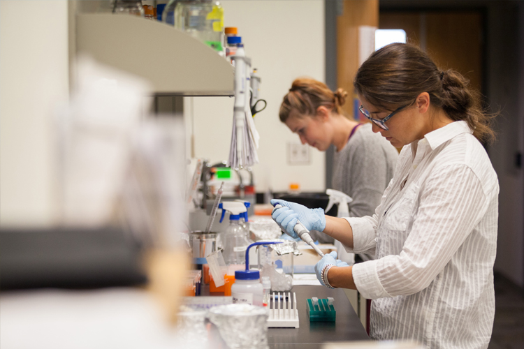 Graduate Students Performing Research in a Lab.